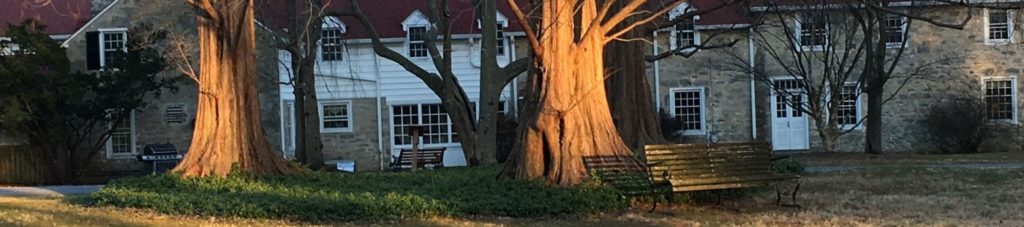 Two trees in front of a stone building
